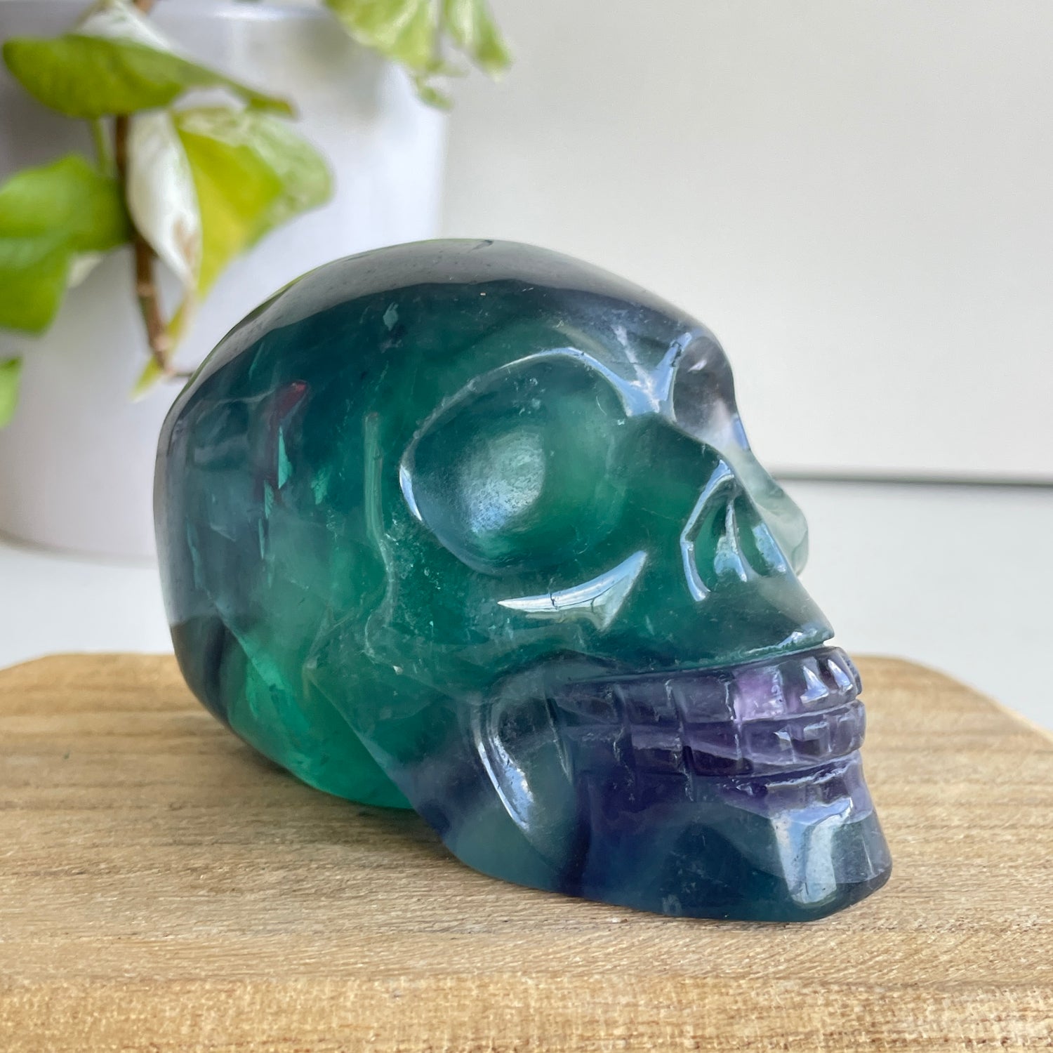 Fluorite Skull 02