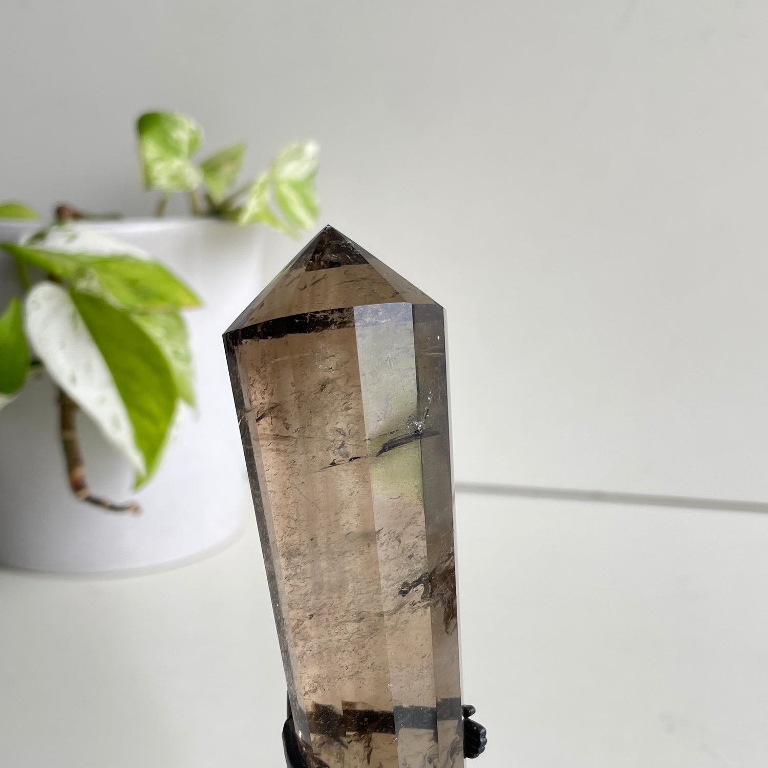 Smoky Quartz Vogel 13.6cm