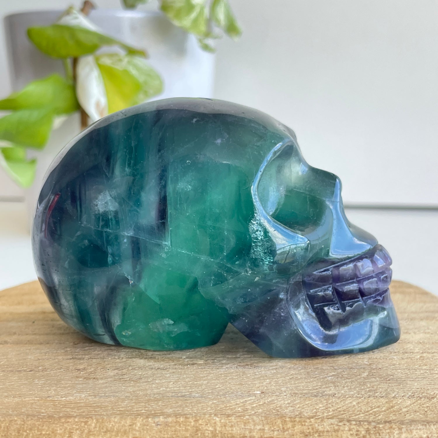 Fluorite Skull 02
