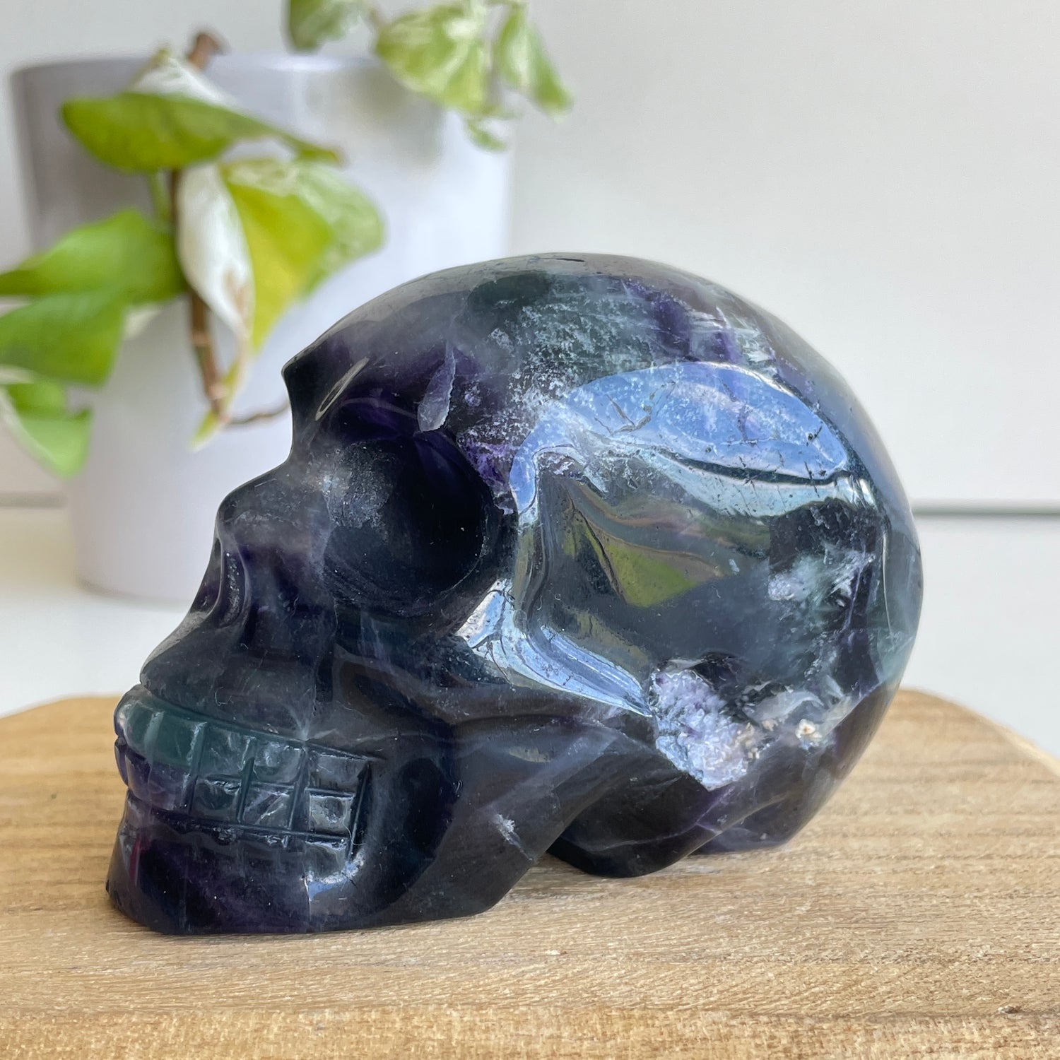 Fluorite Skull 03