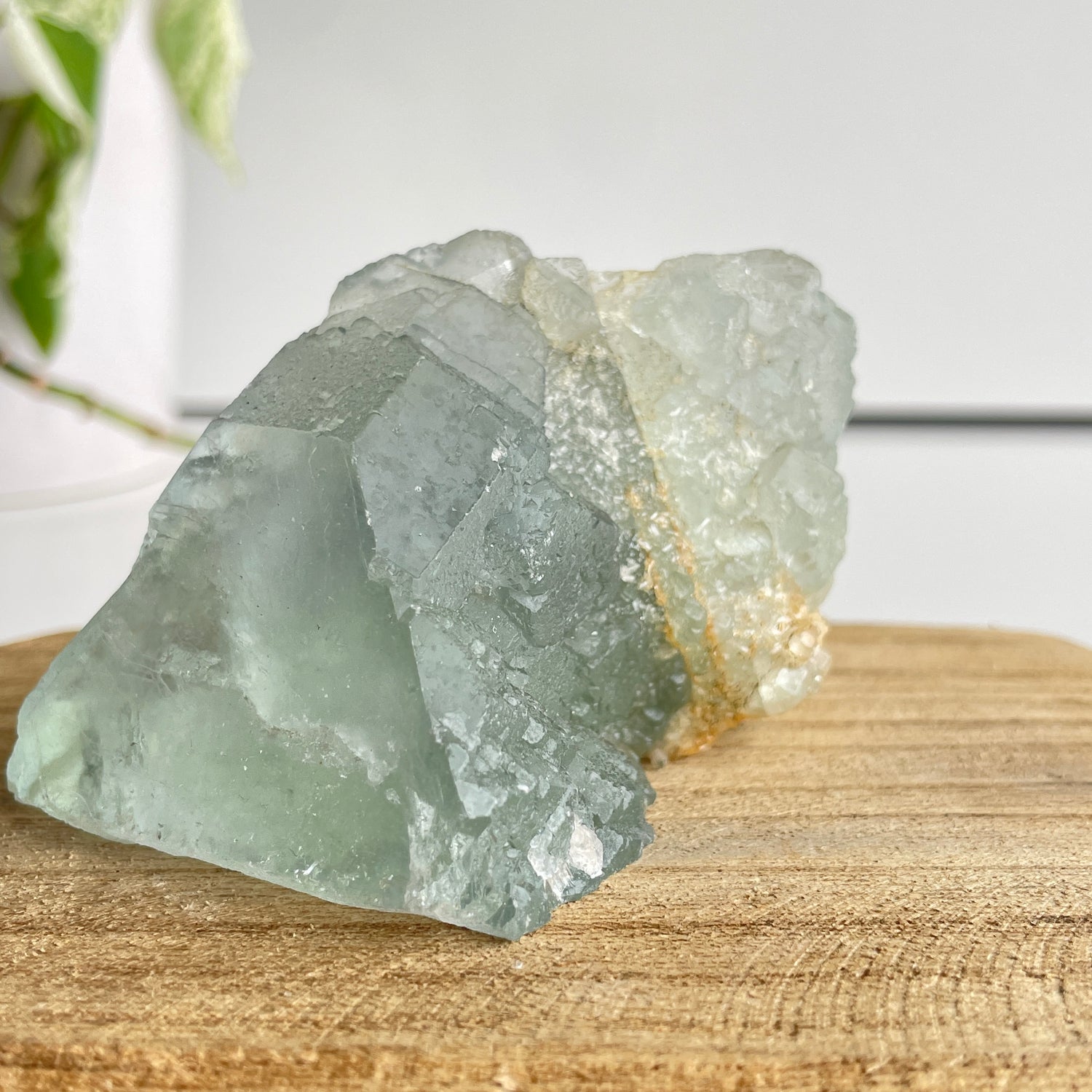 Fluorite Pce 288g