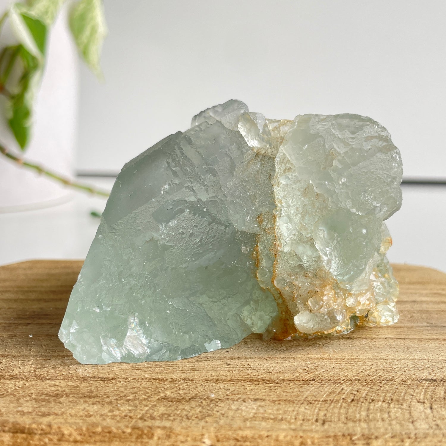 Fluorite Pce 288g