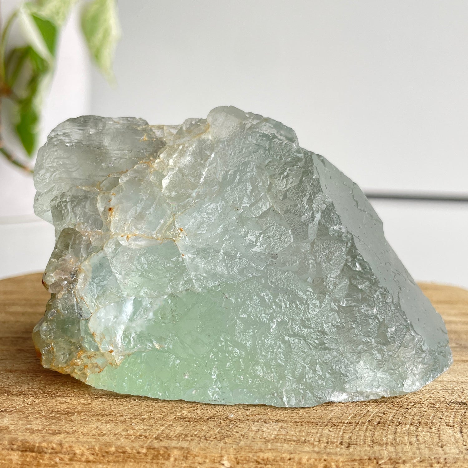 Fluorite Pce 288g