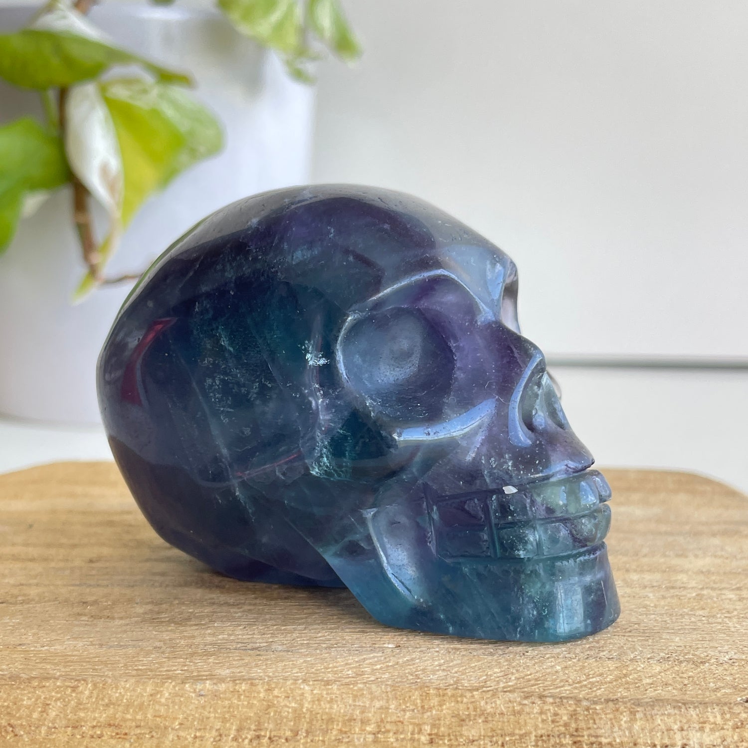 Fluorite Skull 04