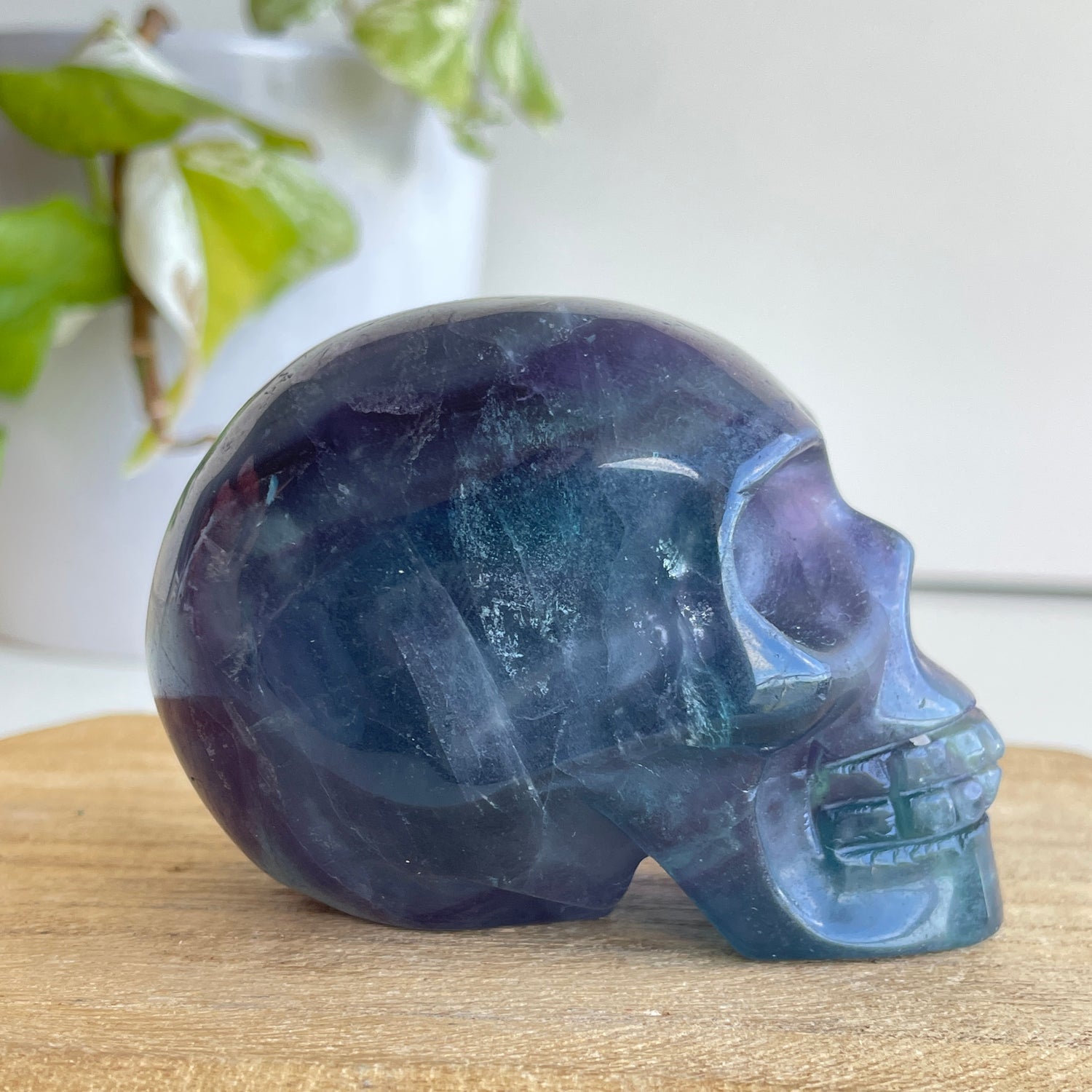 Fluorite Skull 04