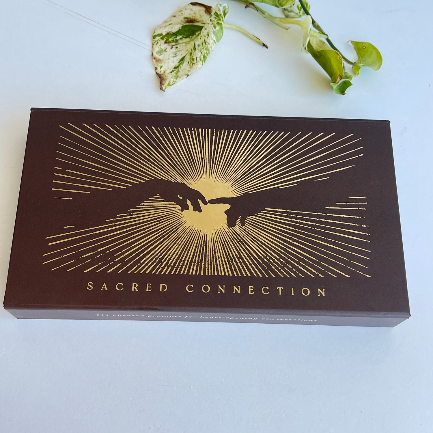 Sacred Connection Cards Dreamymoons