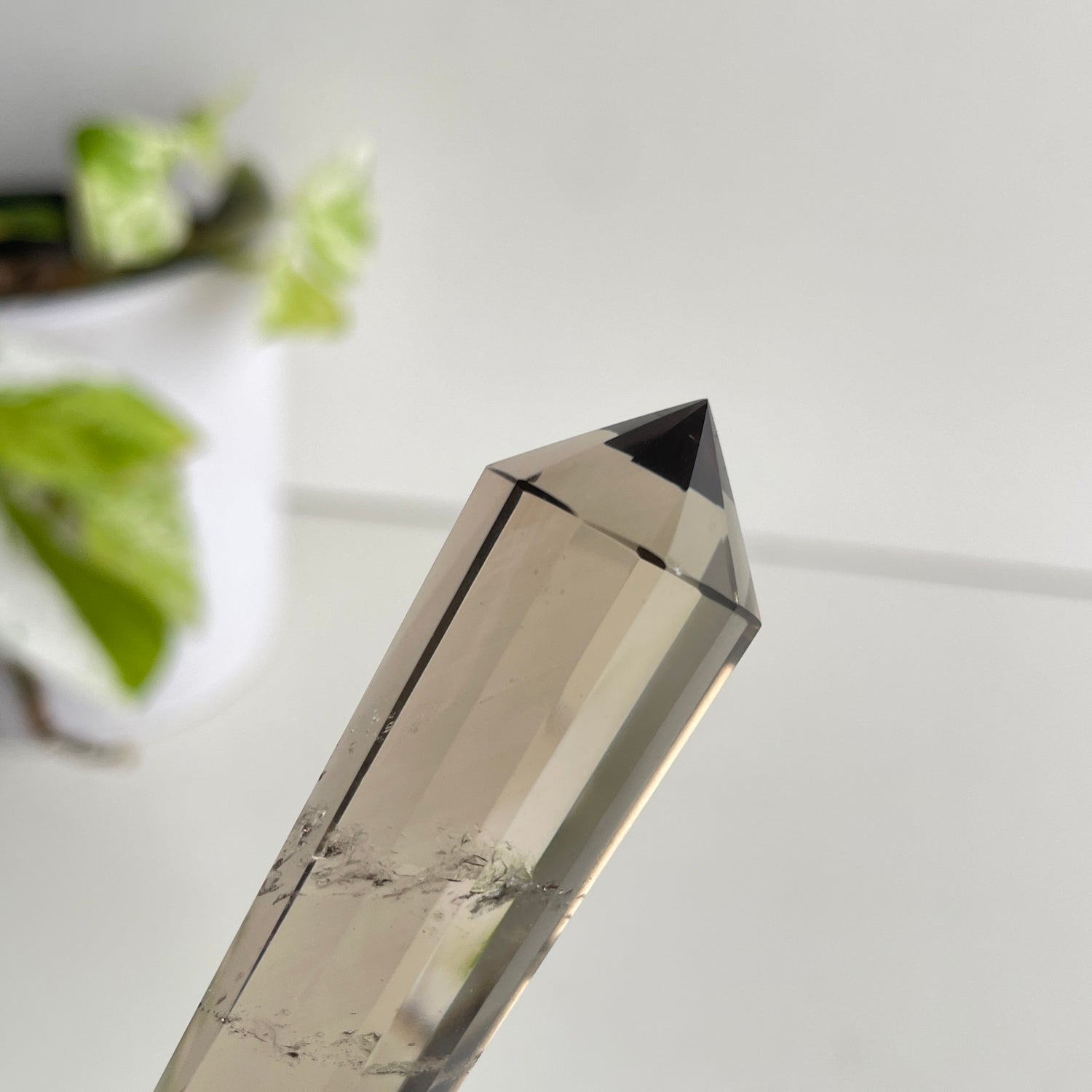 Smoky Quartz Vogel 11.1cm