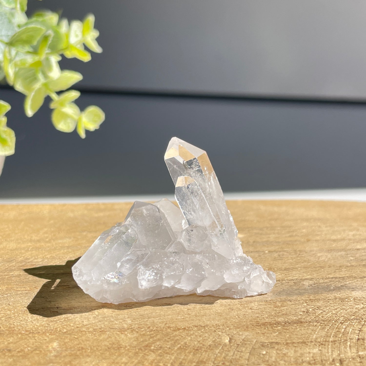 Lemurian Quartz Cluster 28g