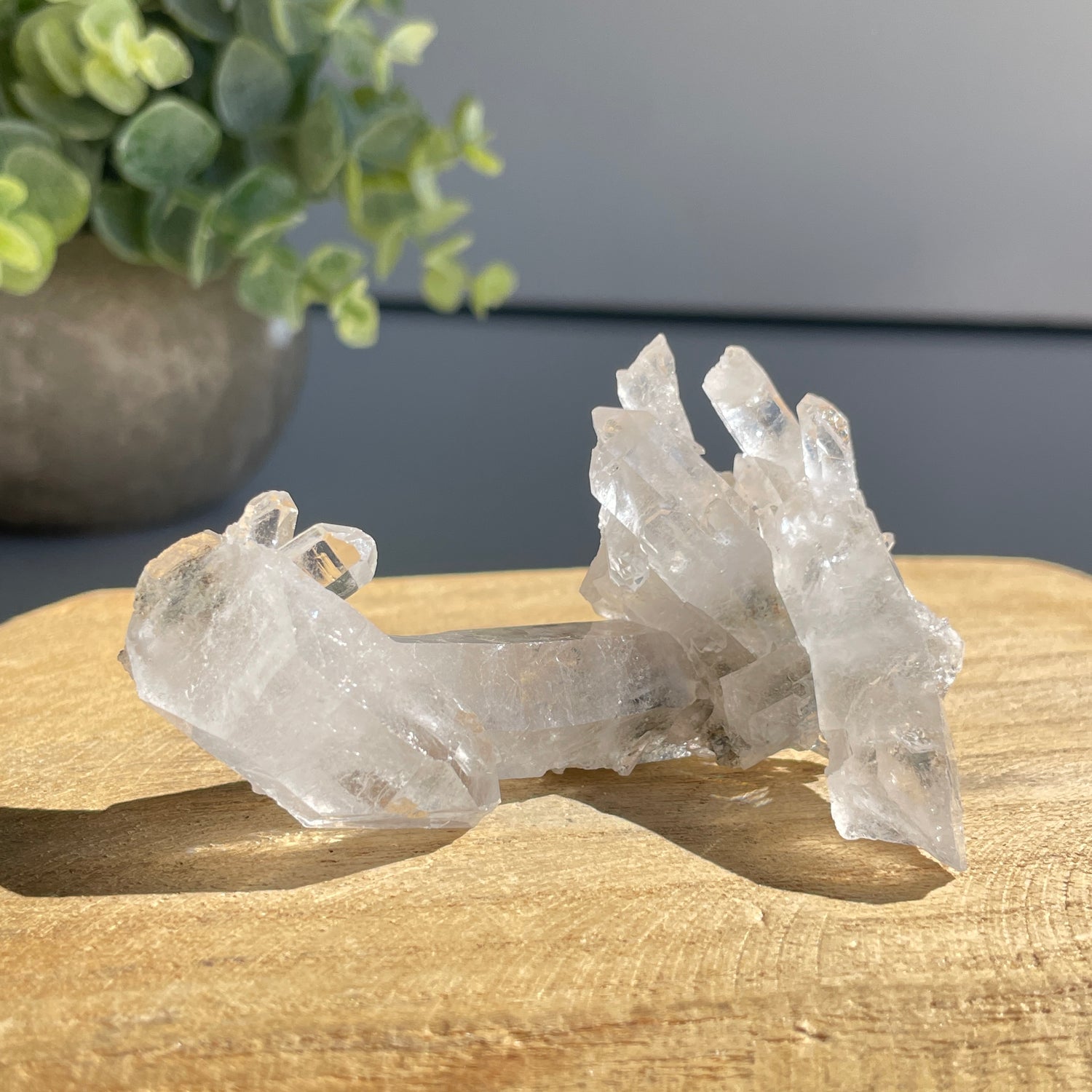 Lemurian Quartz Cluster 52g