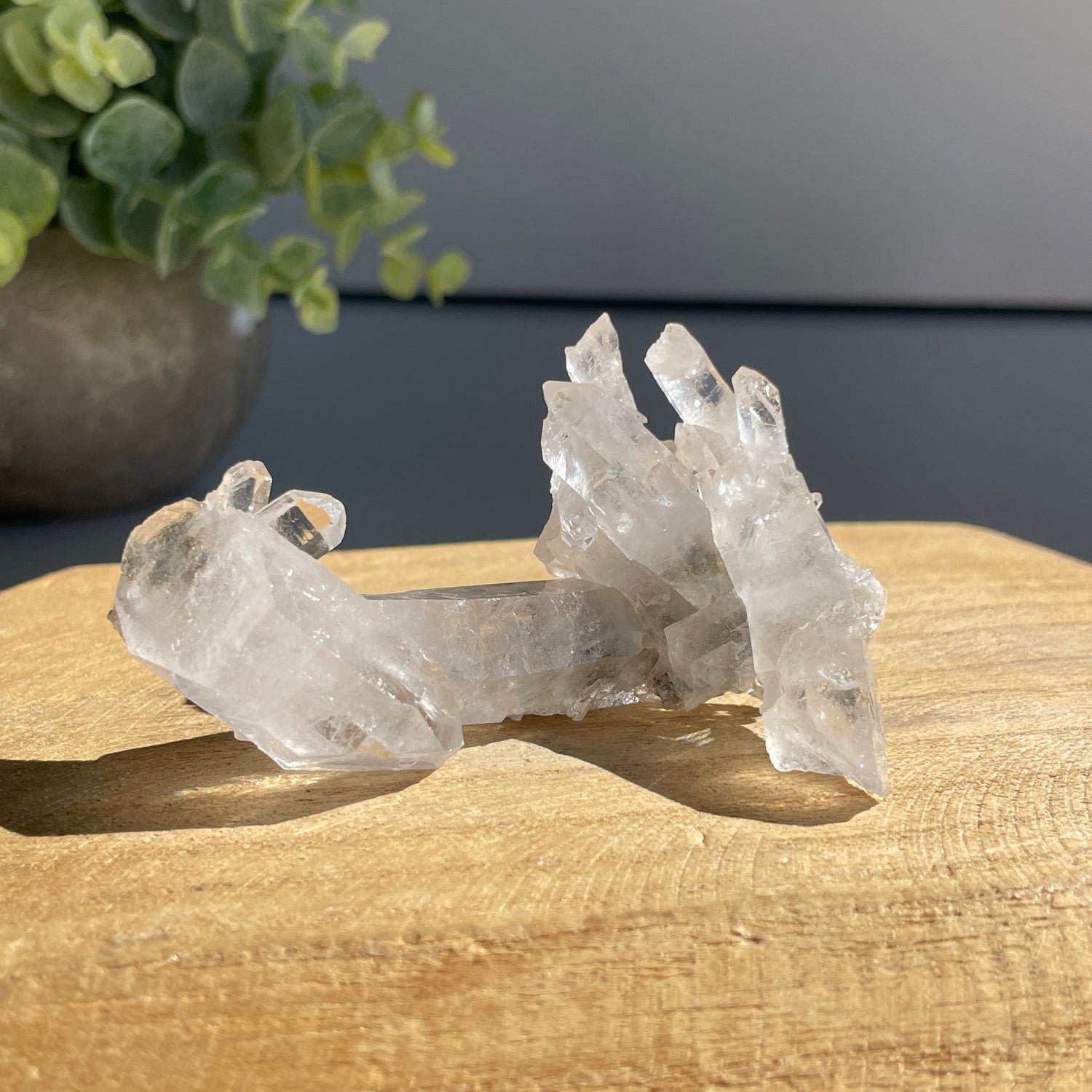Lemurian Quartz Cluster 52g