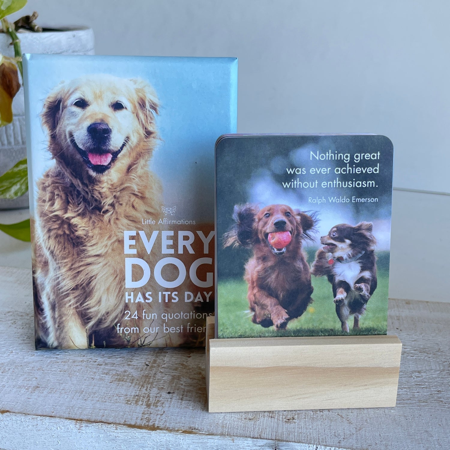 Every Dog Has Its Day Affirmation Cards