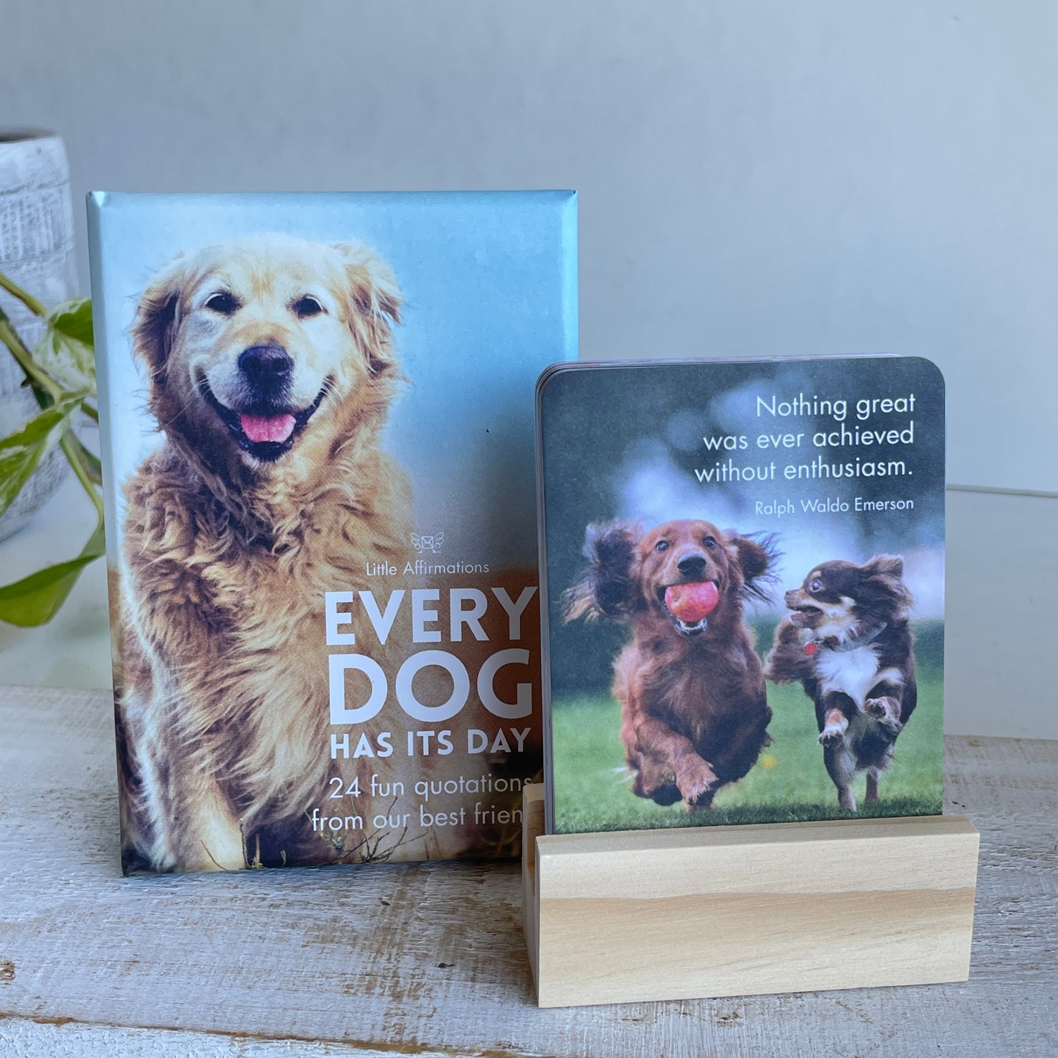 Every Dog Has Its Day Affirmation Cards