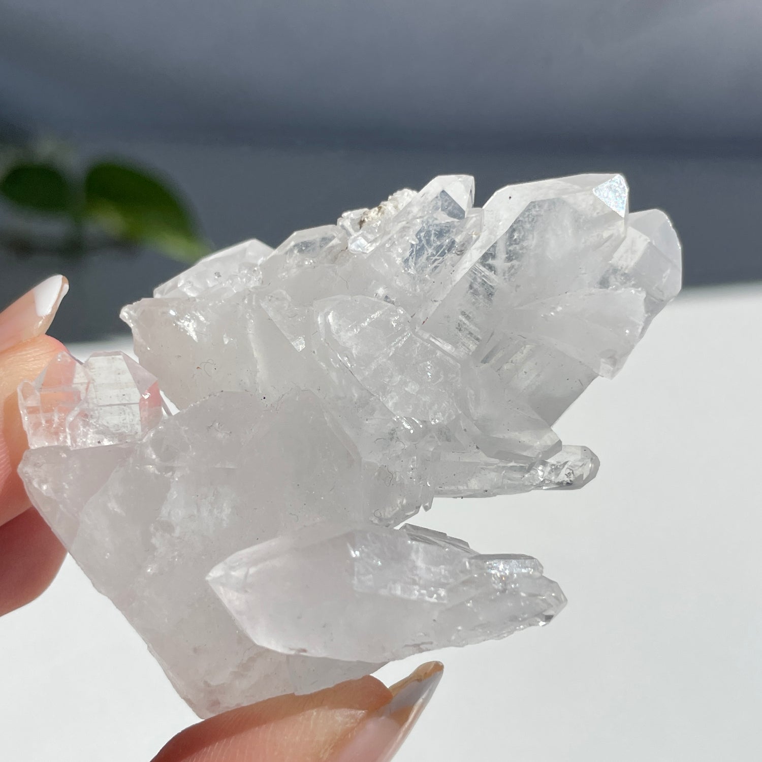 Faden Quartz 44g