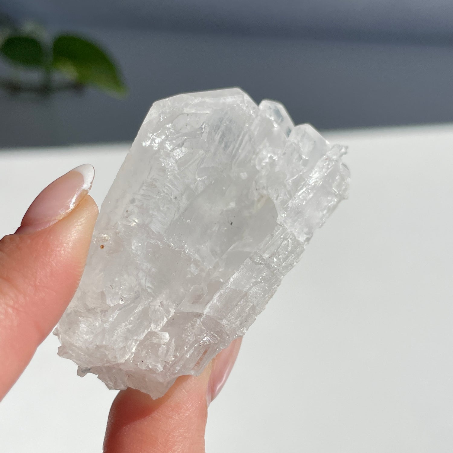 Faden Quartz 42g