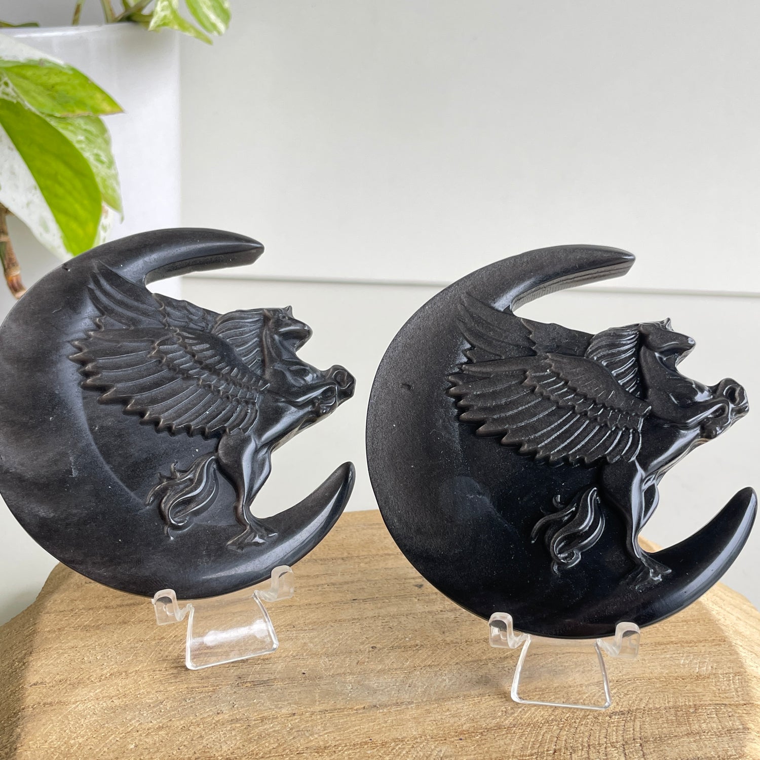 Silversheen Obsidian Moon/Unicorn