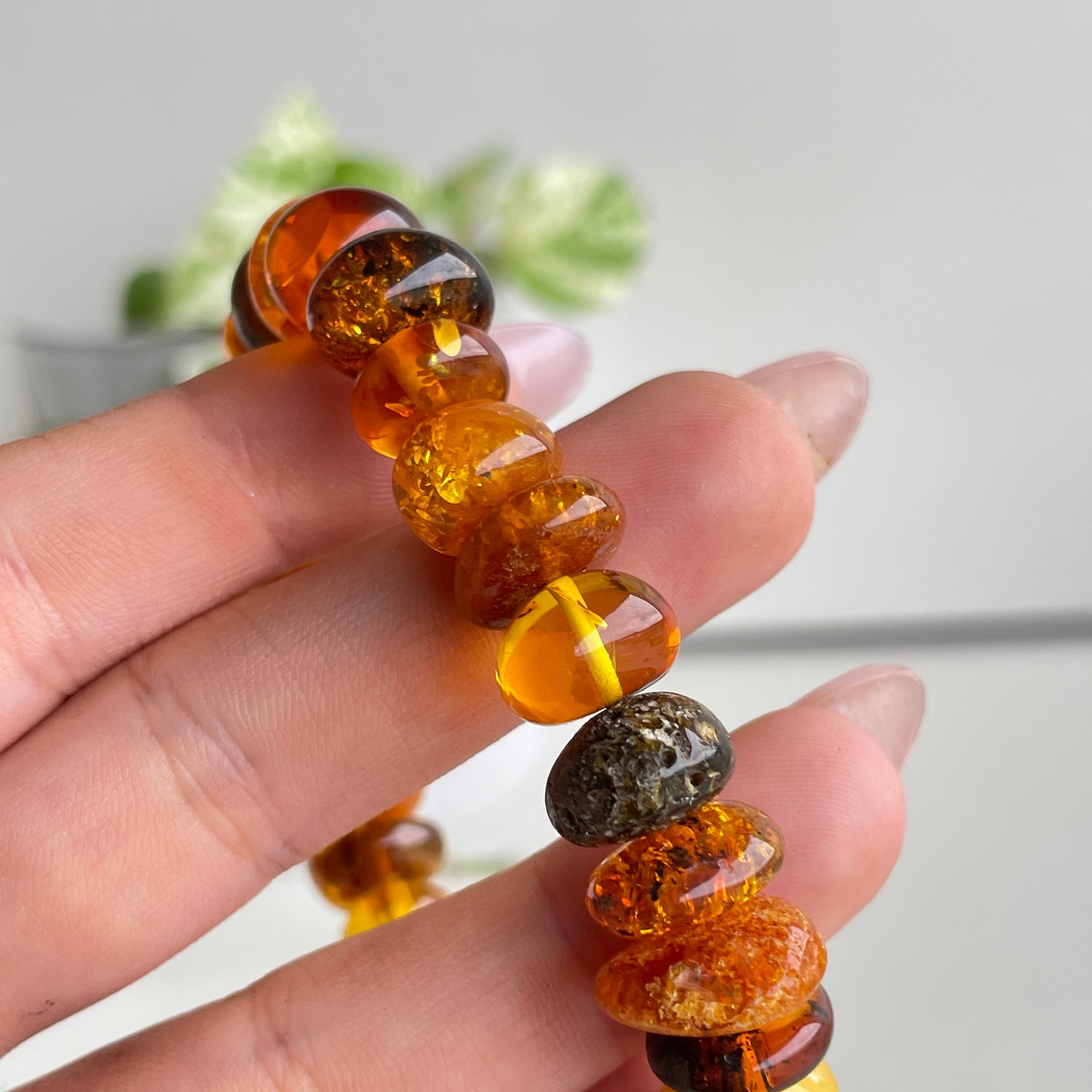 Mixed Amber Bracelet Lge Size