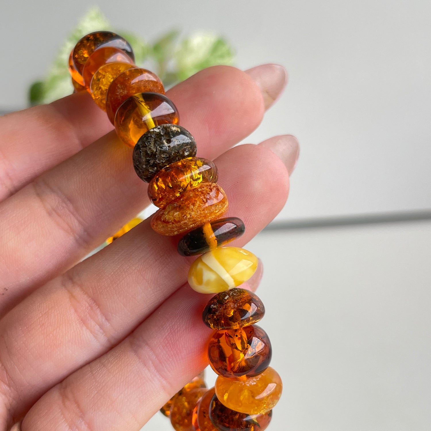 Mixed Amber Bracelet Lge Size