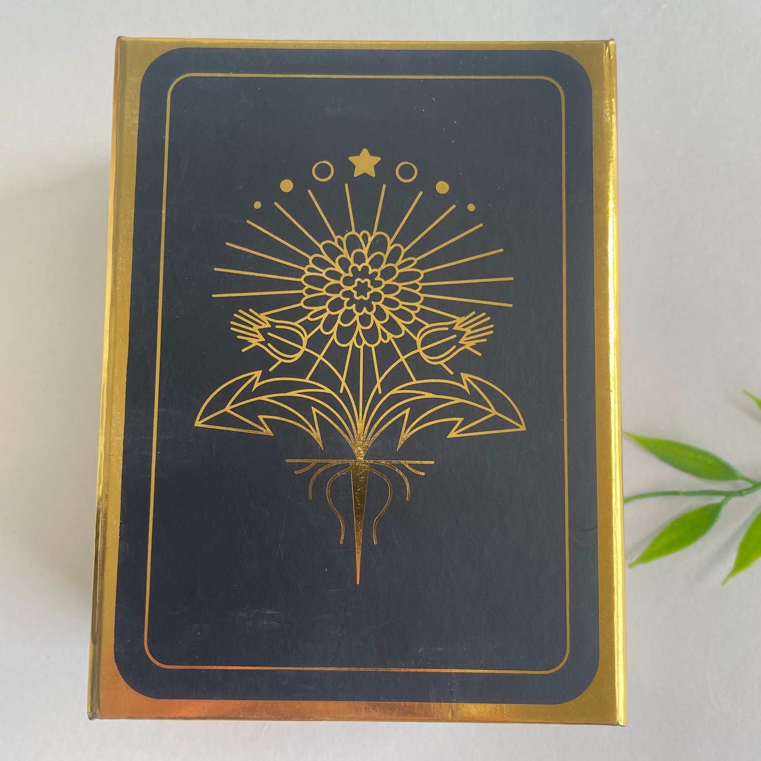 Botanica Tarot Kevin Jay Stanton
