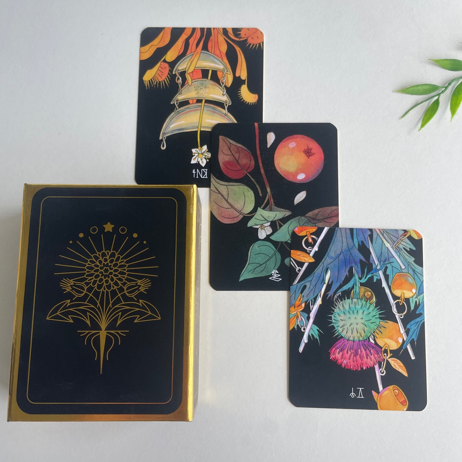 Botanica Tarot Kevin Jay Stanton
