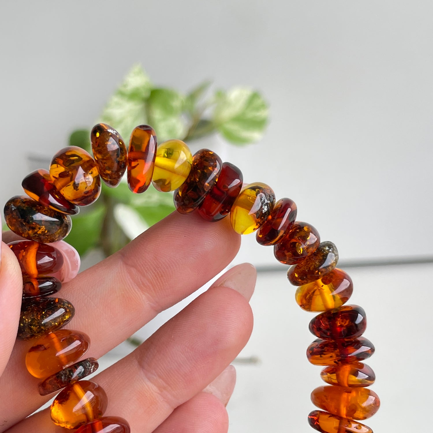 Amber Bracelet Lge Size