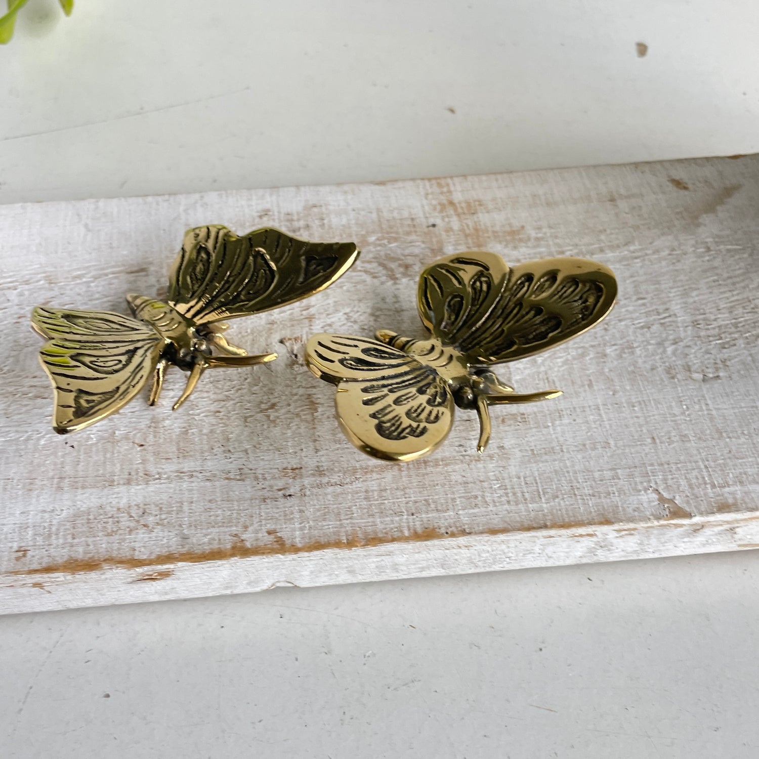 Brass Butterfly BR48i