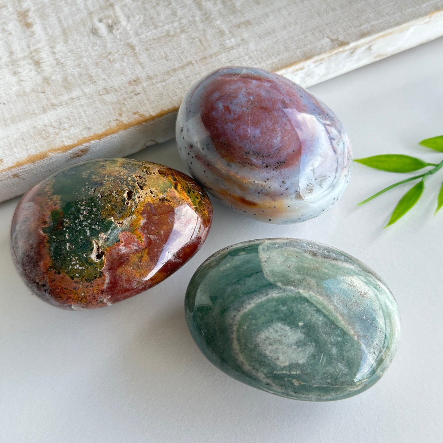 Ocean Jasper Palmstone XL