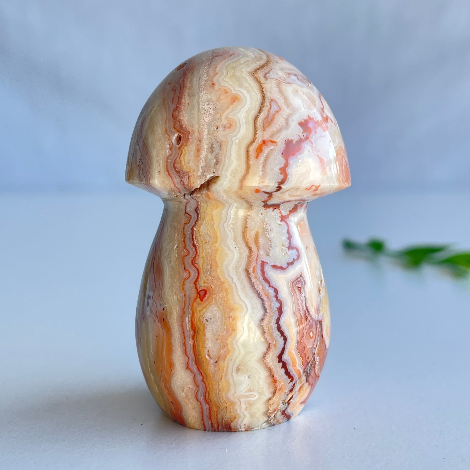 Pink Crazy Lace Agate Mushroom 004