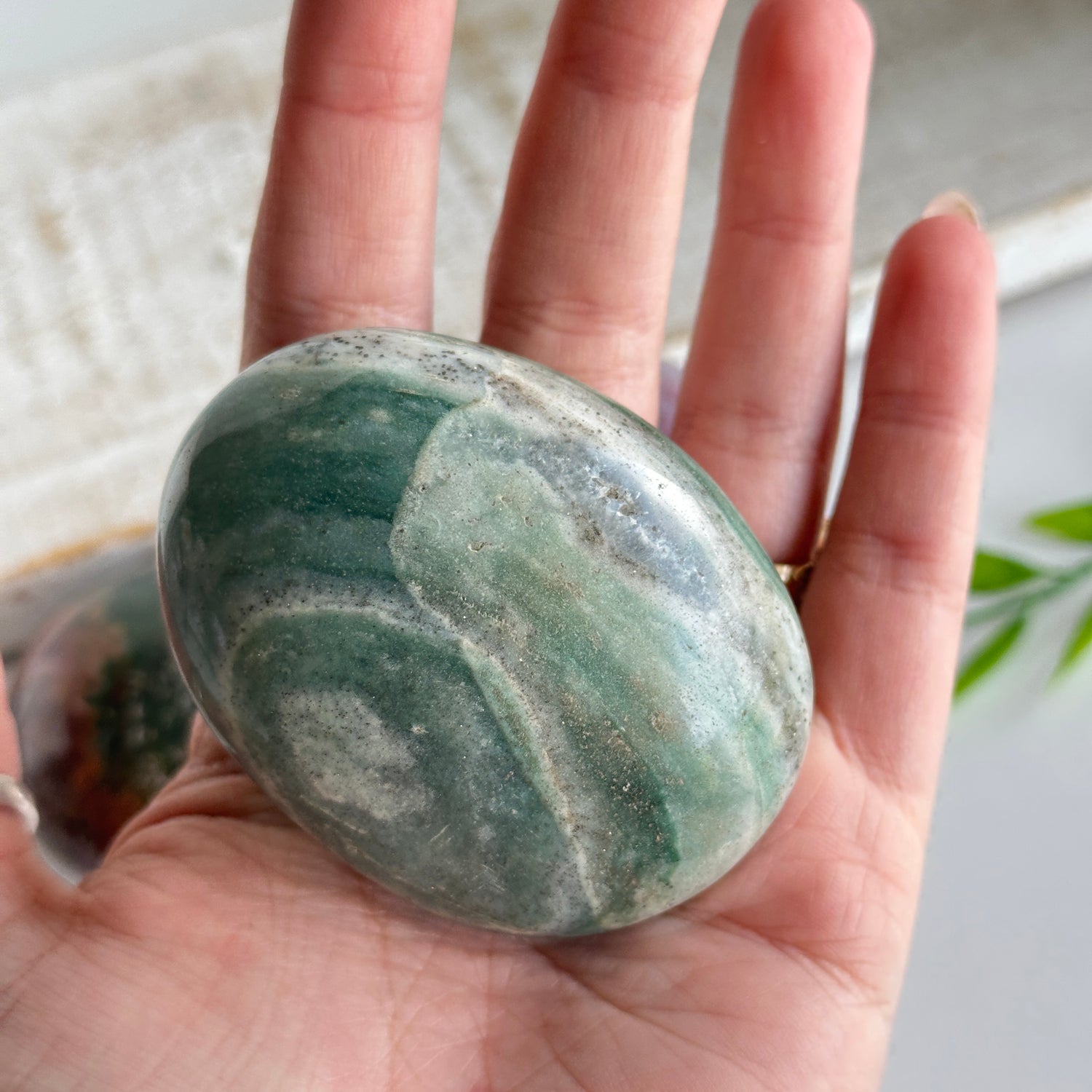 Ocean Jasper Palmstone XL