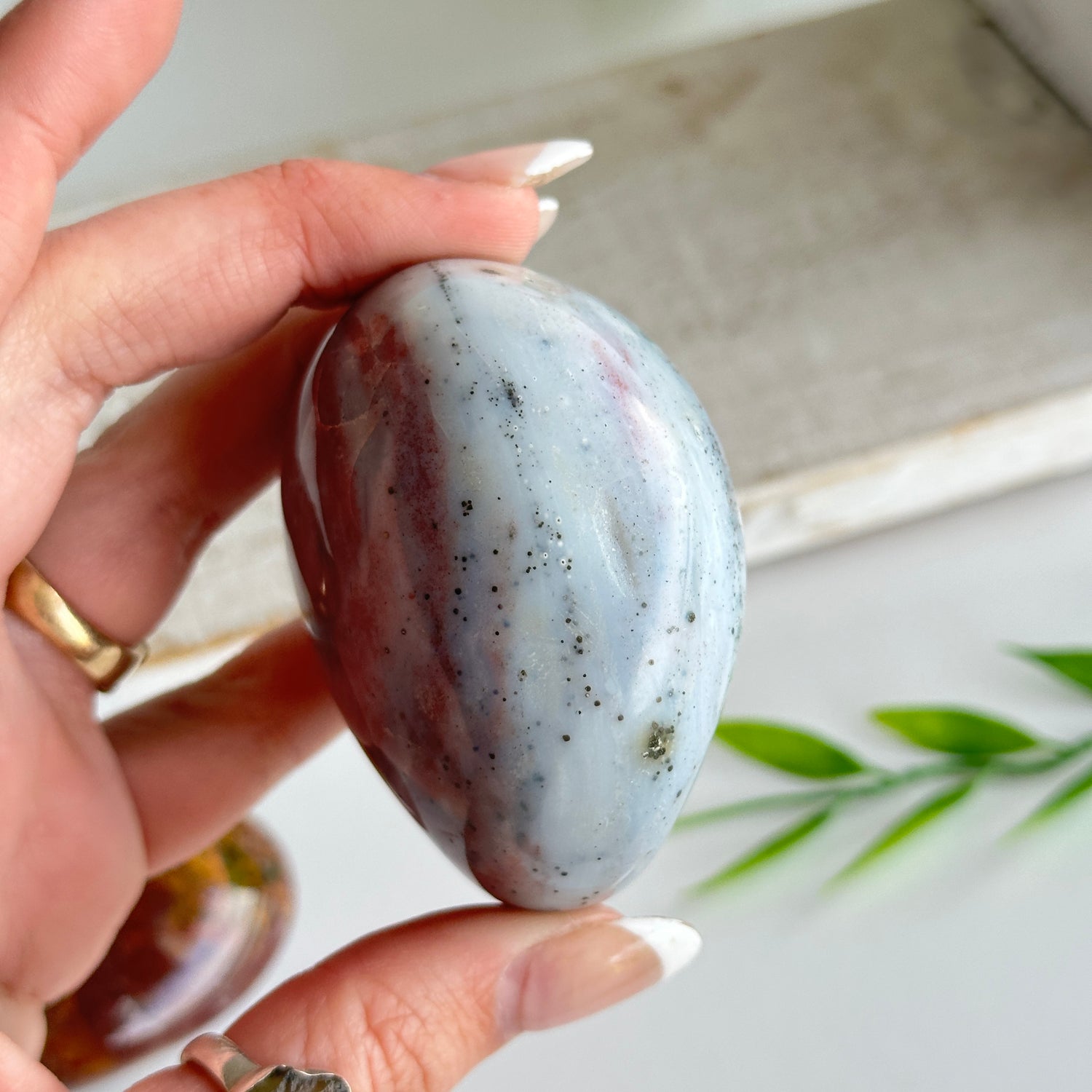 Ocean Jasper Palmstone XL