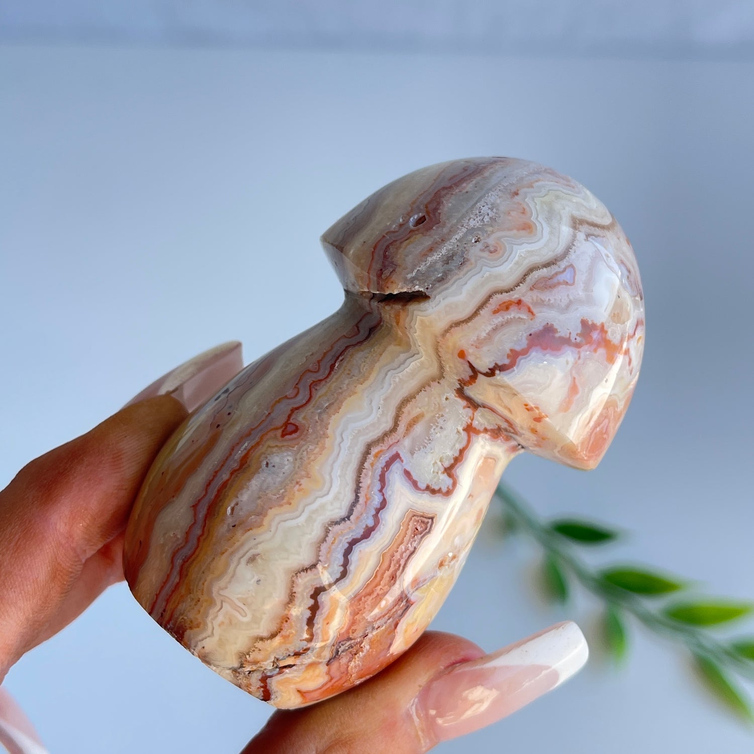 Pink Crazy Lace Agate Mushroom 004