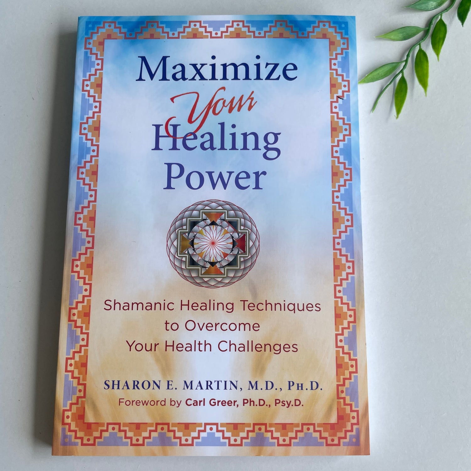 Maximize Your Healing Power Sharon Martin