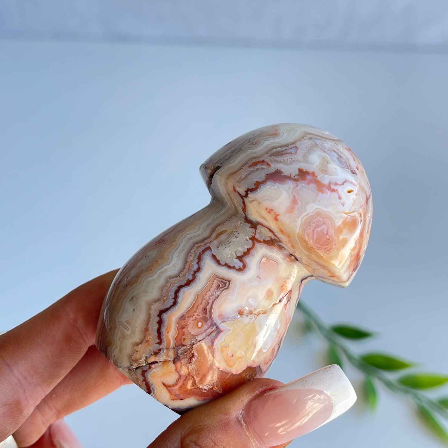 Pink Crazy Lace Agate Mushroom 004