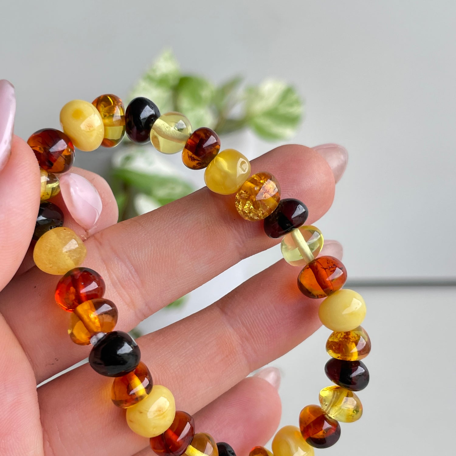 Mixed Amber Bracelet