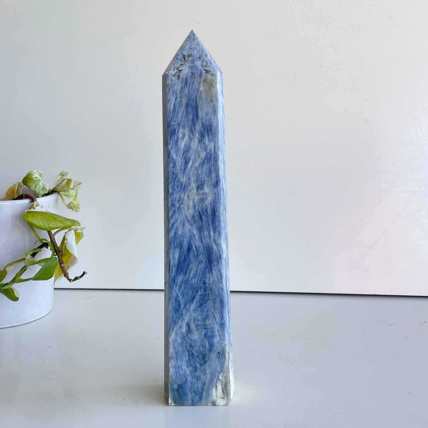 Blue Kyanite Generator 29.9cm