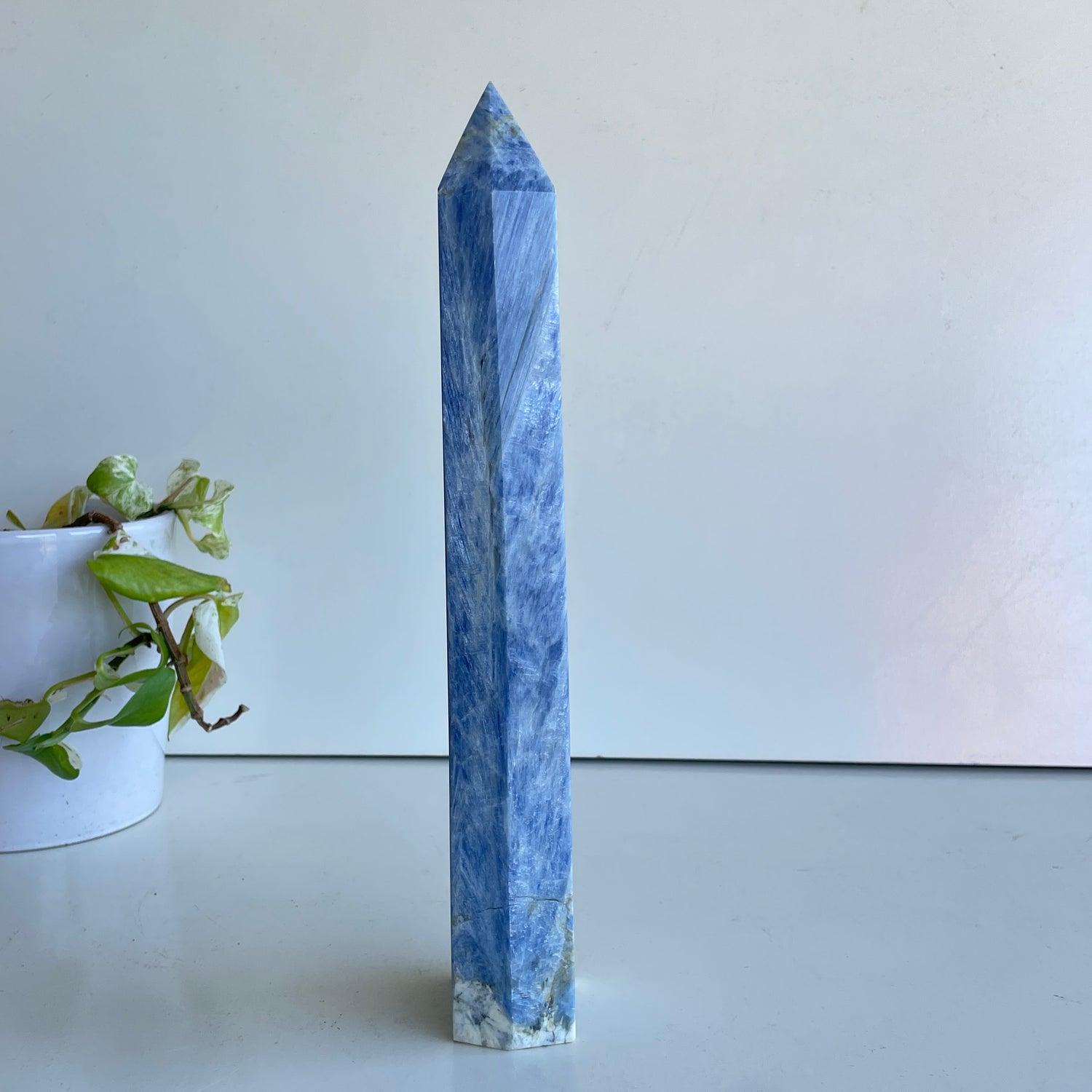 Blue Kyanite Generator 29.9cm