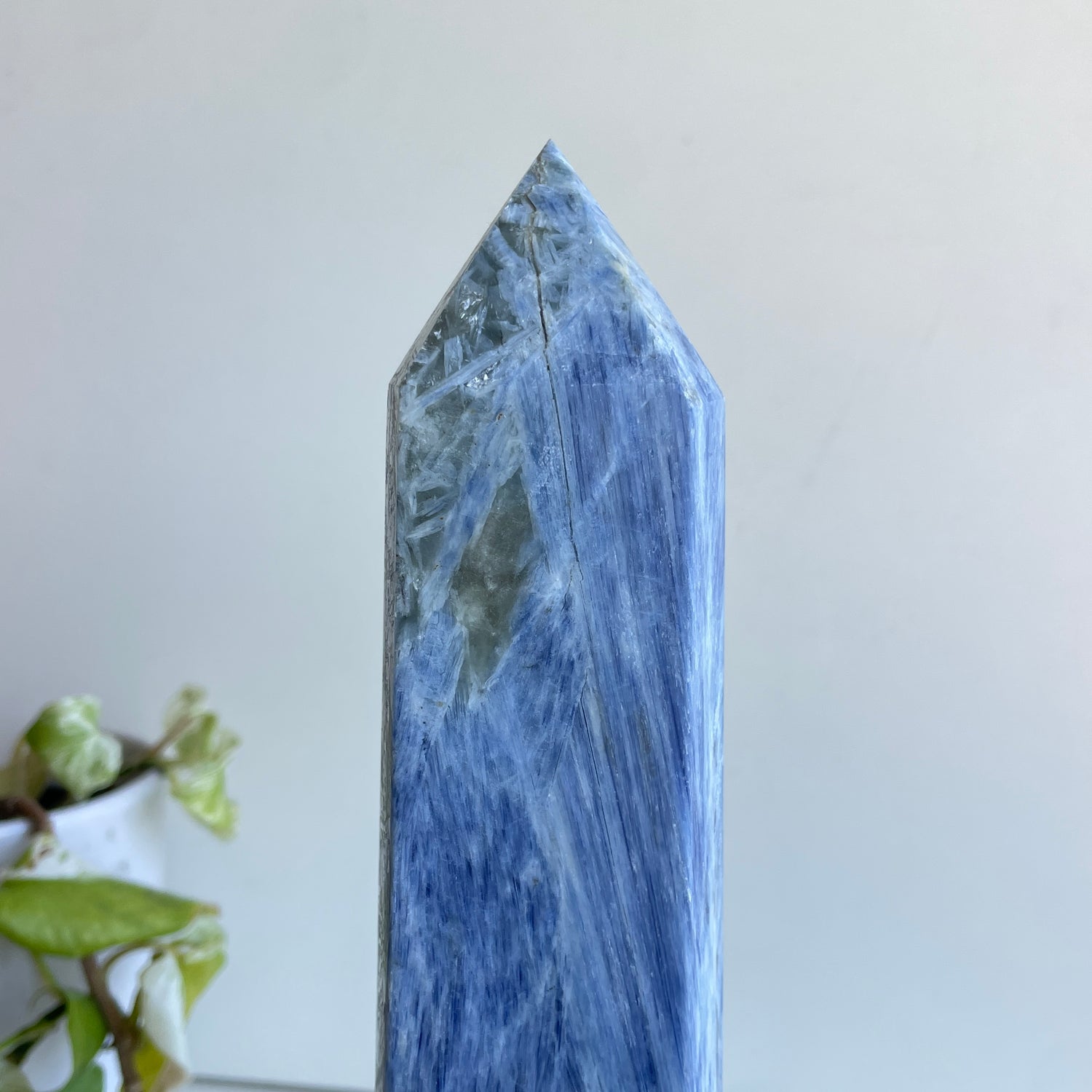 Blue Kyanite Generator 29.9cm