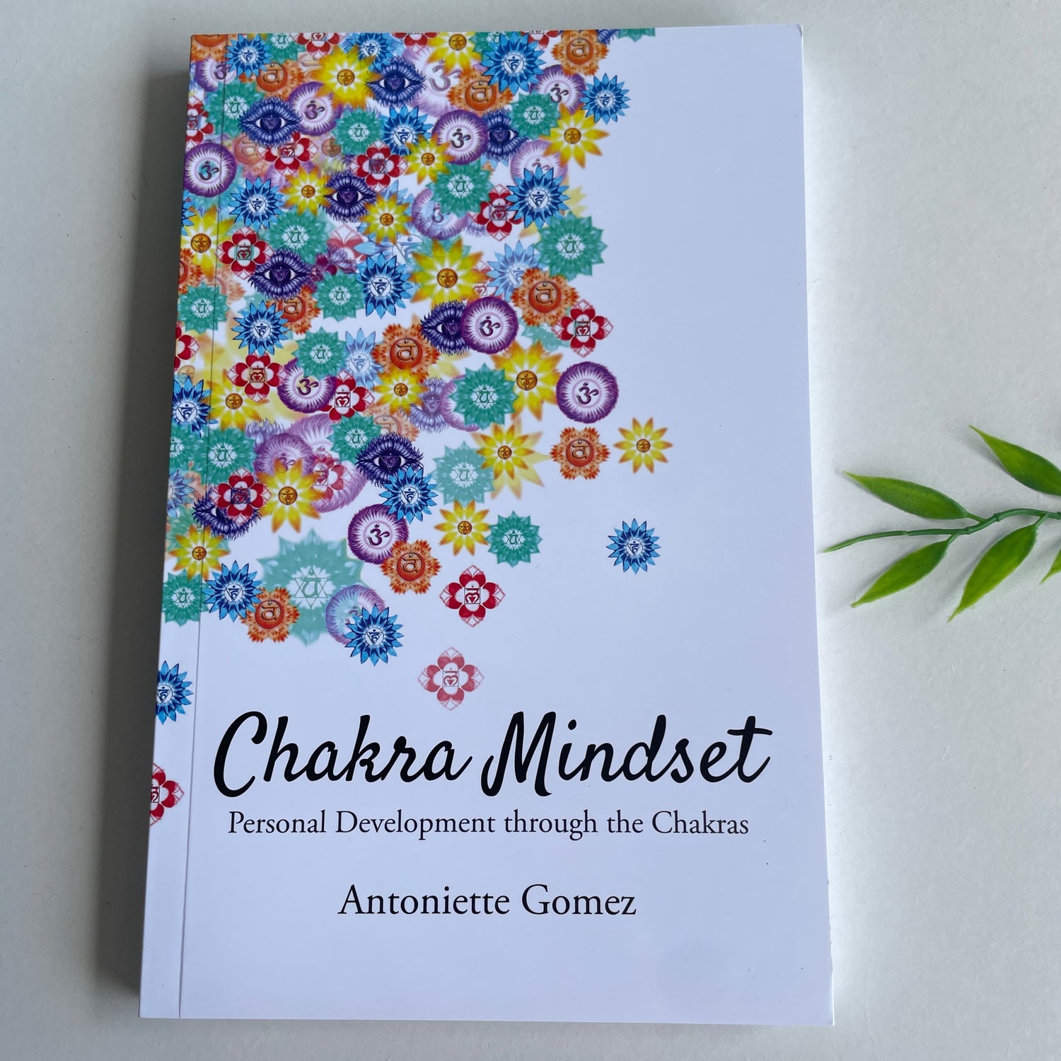 Chakra Mindset Antoniette Gomez