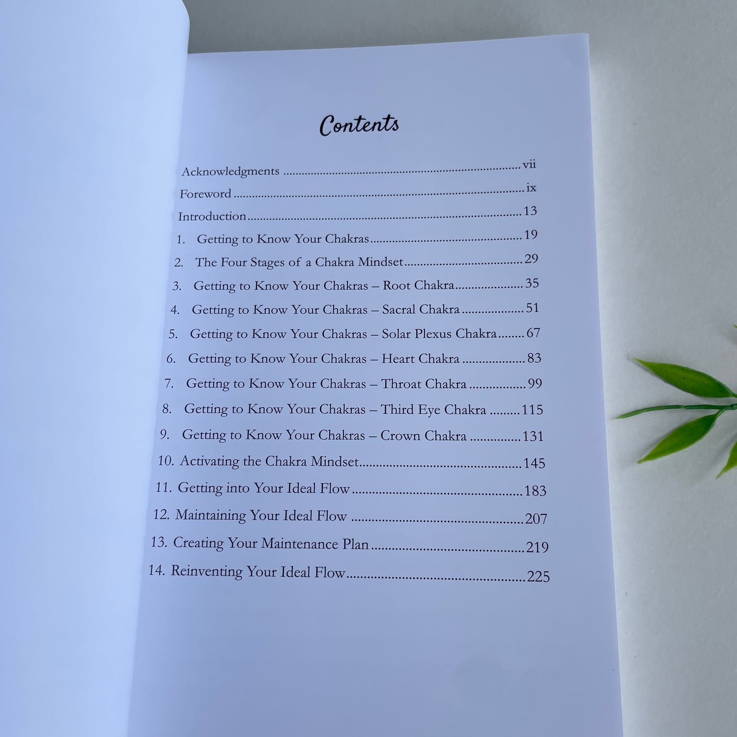 Chakra Mindset Antoniette Gomez