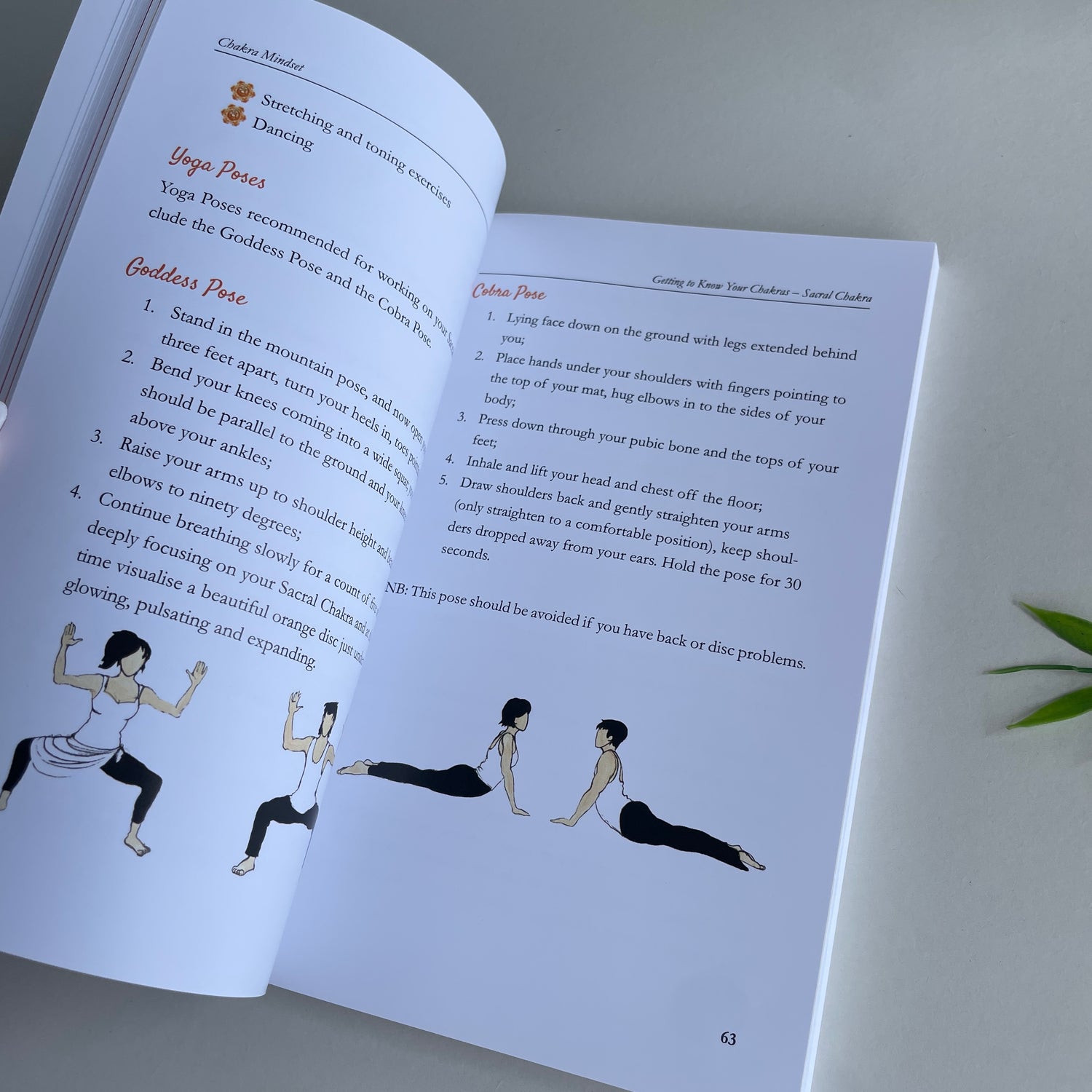 Chakra Mindset Antoniette Gomez