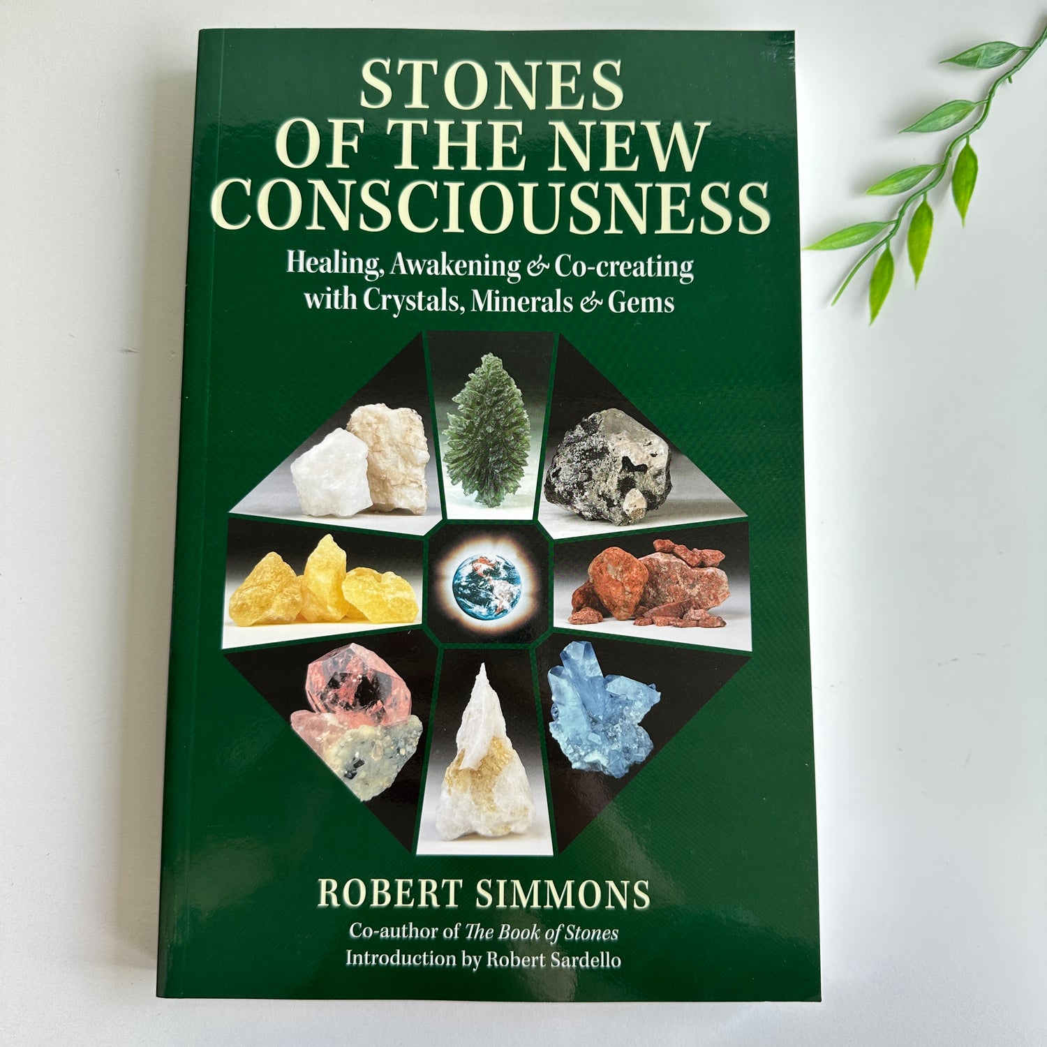 Stones Of The New Consciousness Robert Simmons