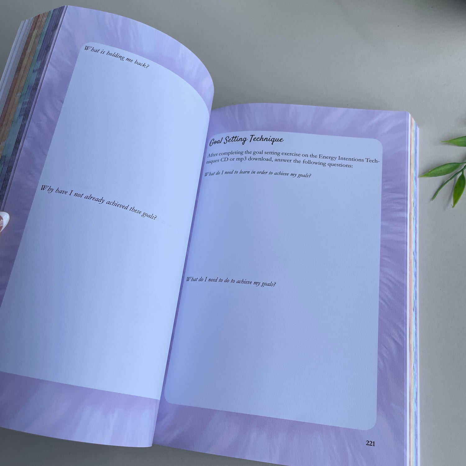 Chakra Mindset Journal Antoniette Gomez