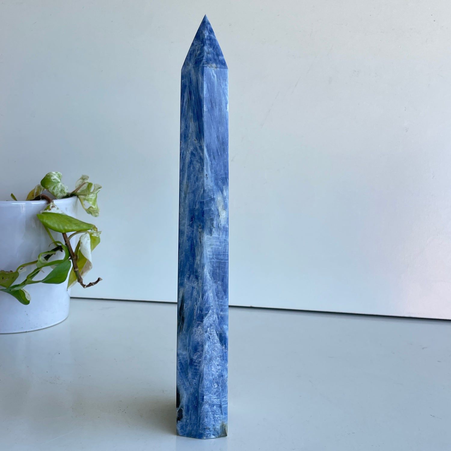 Blue Kyanite Generator 29.7cm