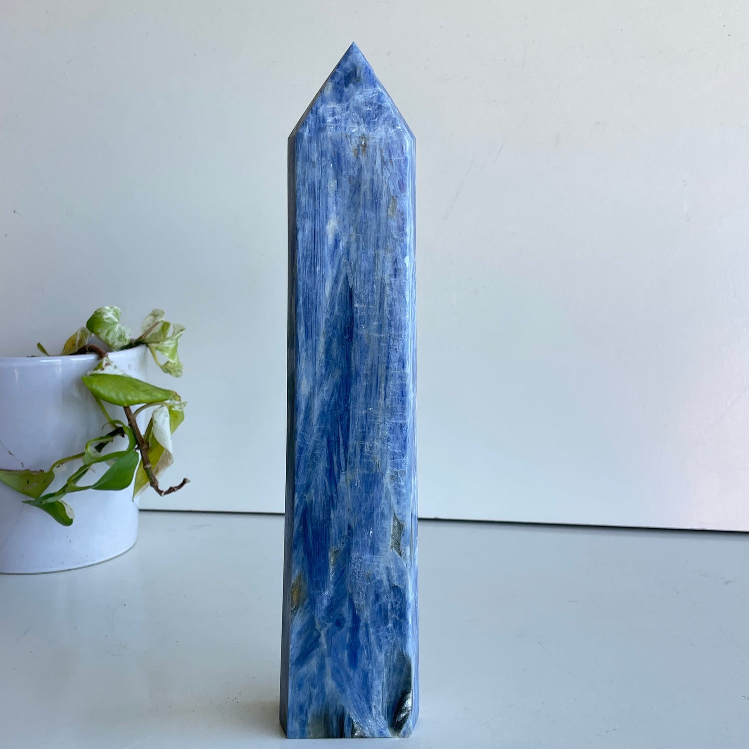 Blue Kyanite Generator 29.7cm