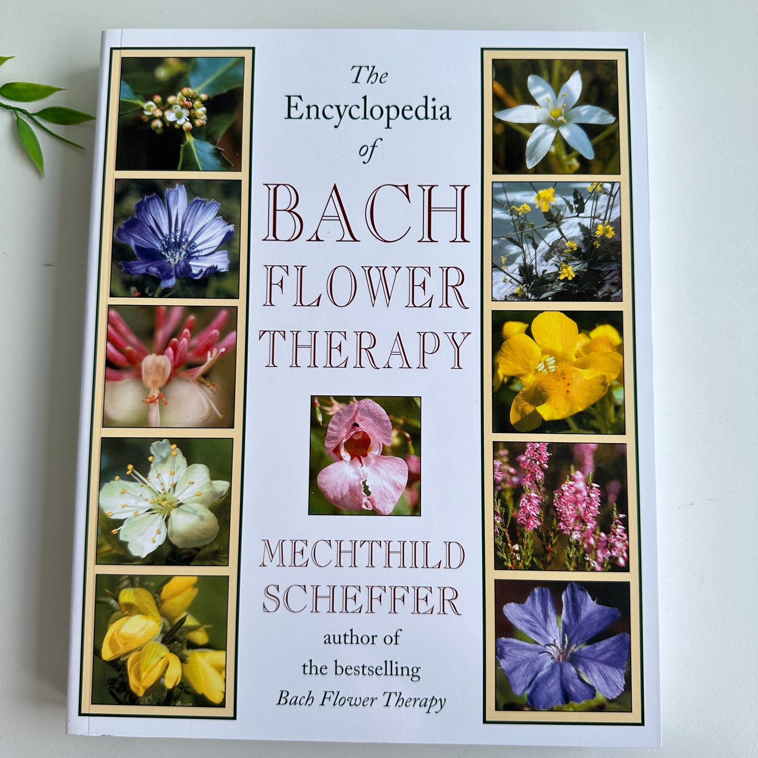 The Element Encyclopedia Of Bach Flower Therapy Mechthild Scheffer