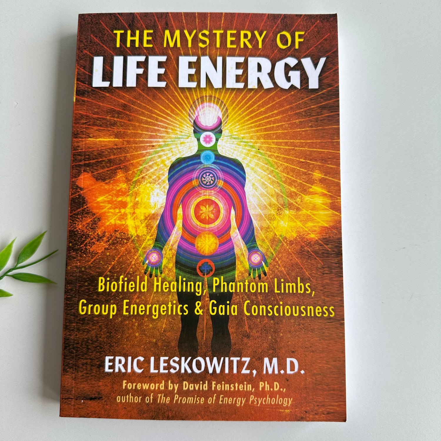 The Mystery Of Life Energy Eric Leskowitz