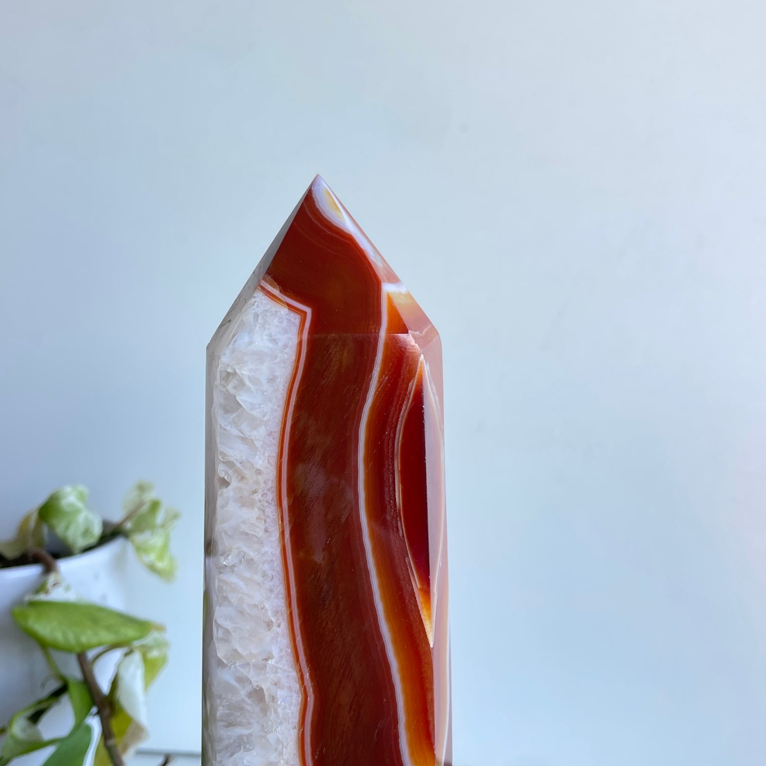 Carnelian Generator 28.3cm