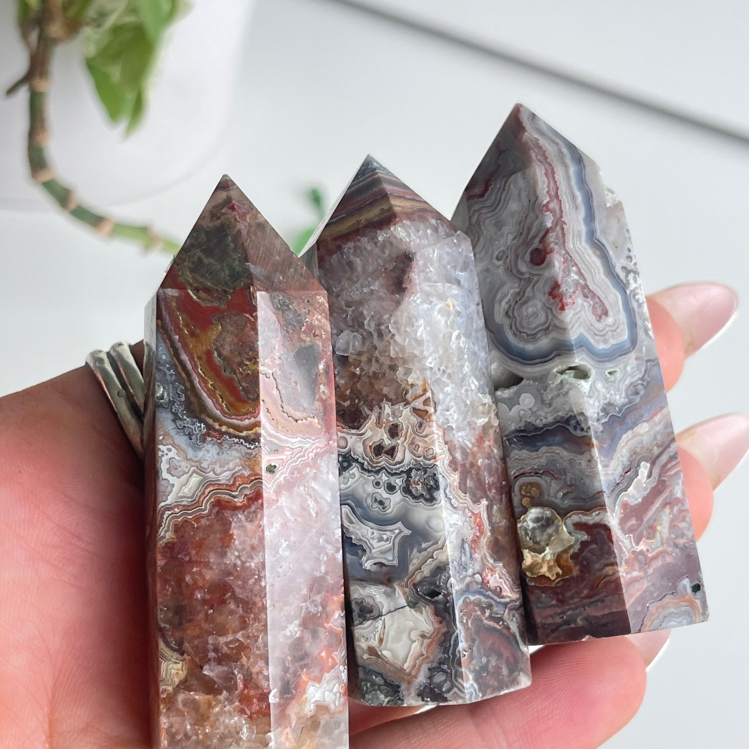 Mexican Lace Agate Generator Small