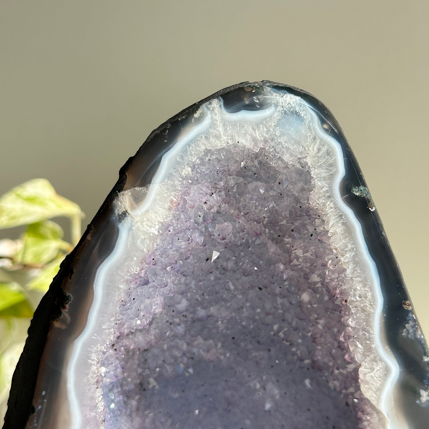Amethyst Geode 6.790kg