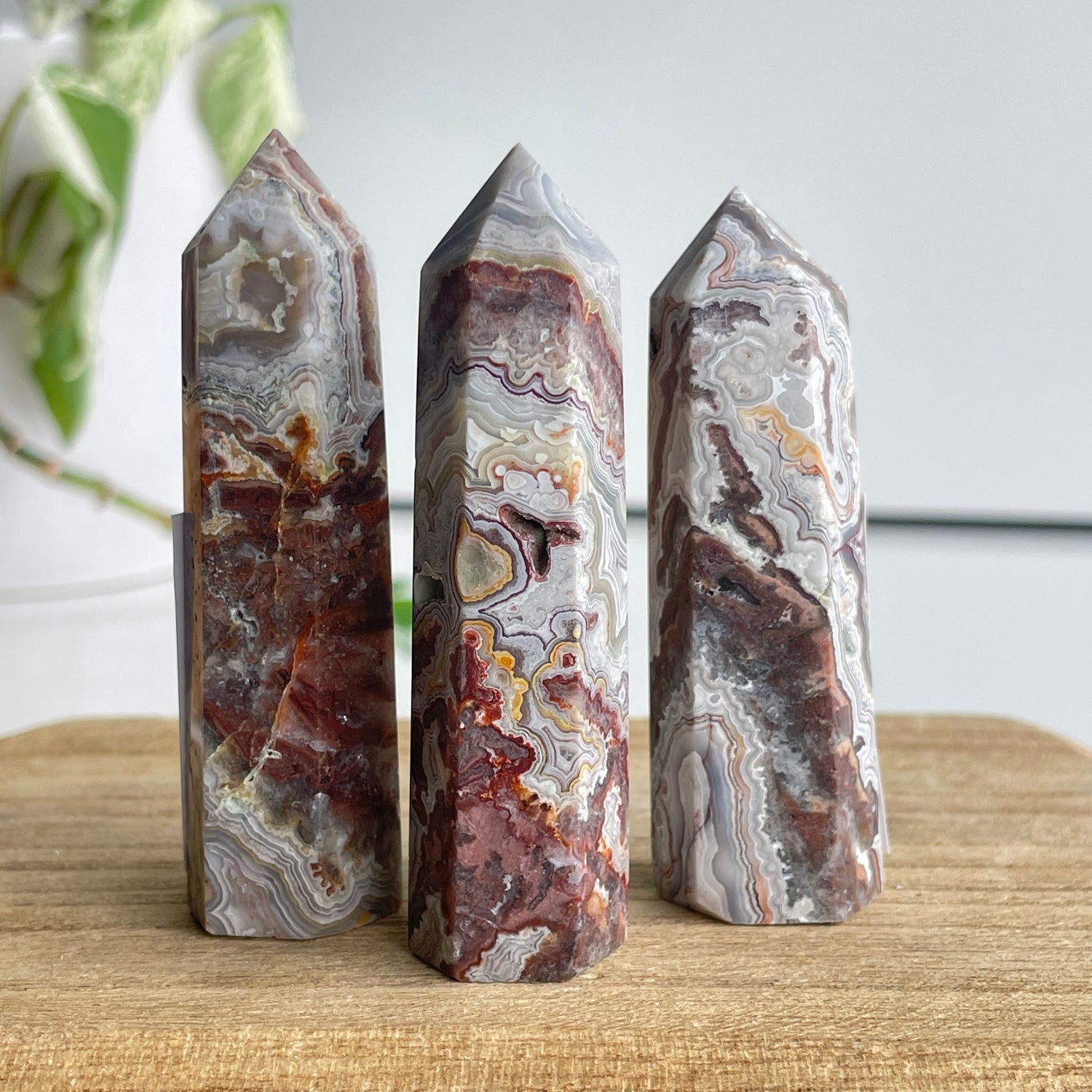 Mexican Lace Agate Generator Small