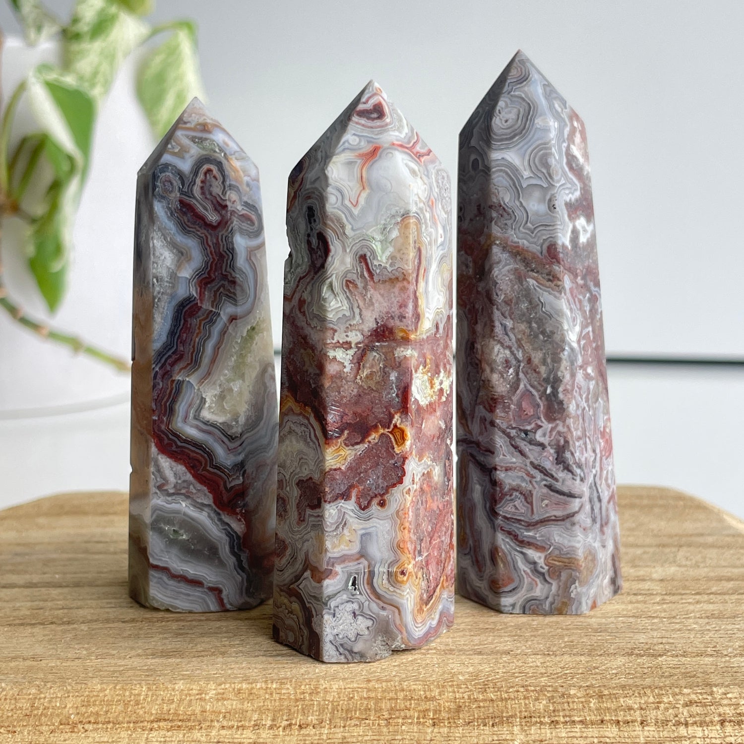 Mexican Lace Agate Generator Medium